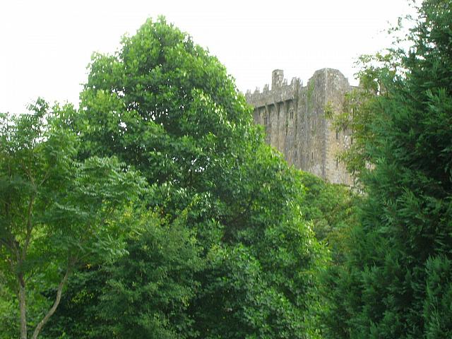 DSCN0097