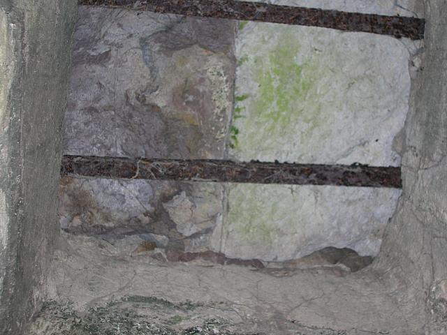 DSCN0133