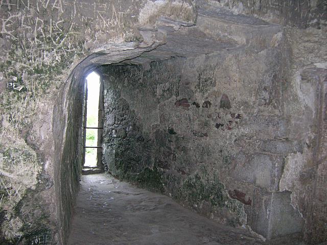DSCN0134