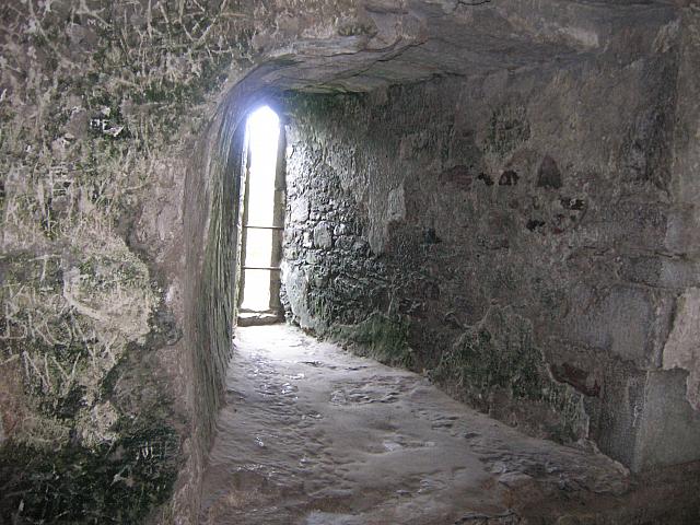DSCN0135