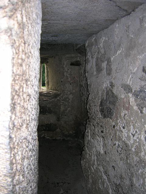 DSCN0142