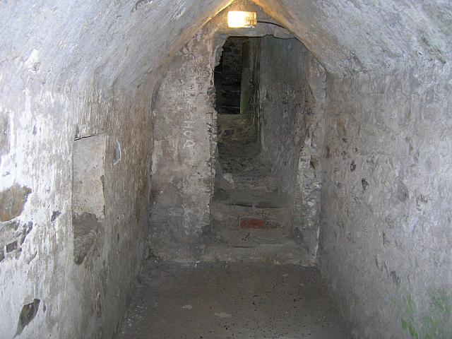 DSCN0153