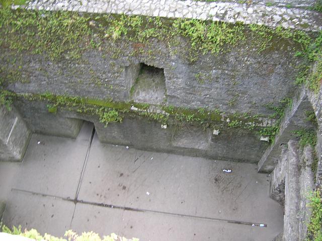 DSCN0166