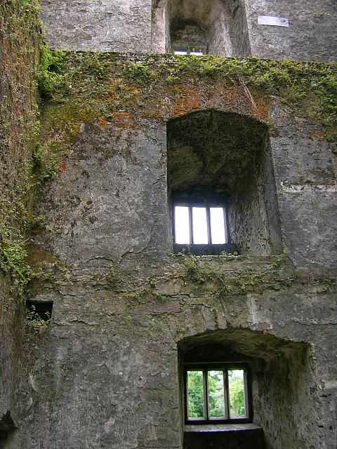 DSCN0176
