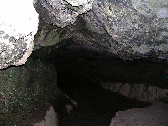 DSCN0179