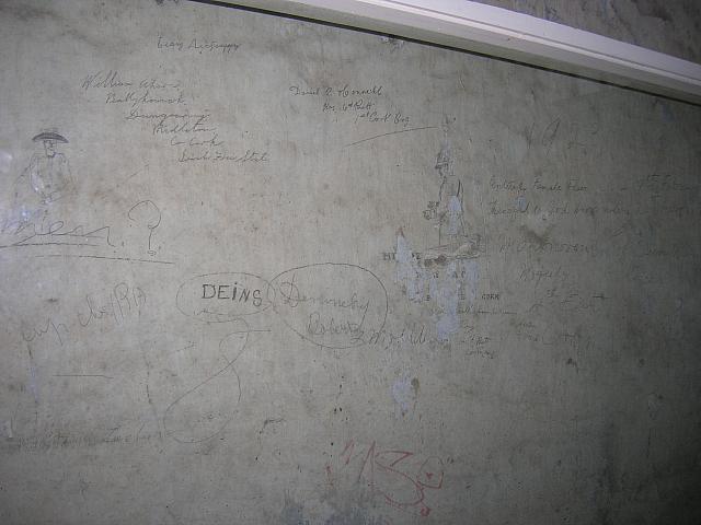 DSCN0234