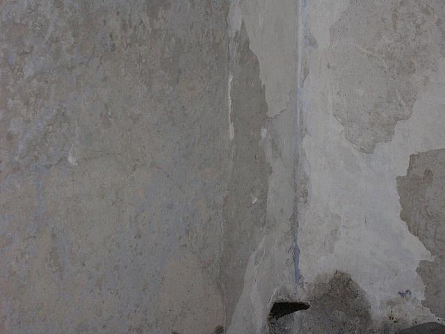 DSCN0239