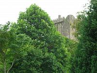 DSCN0097
