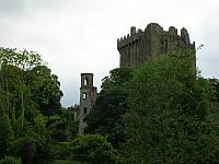 DSCN0103