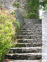 DSCN0115