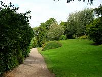 DSCN0121