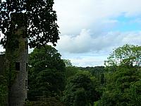 DSCN0125