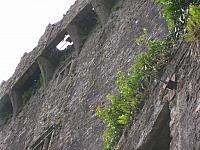 DSCN0128