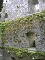 DSCN0172
