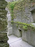 DSCN0174