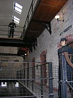DSCN0235