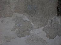 DSCN0237