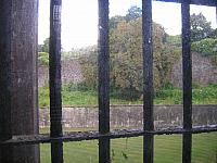 DSCN0243