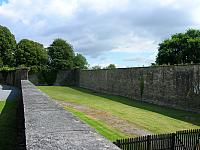 DSCN0264