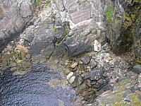 DSCN0289